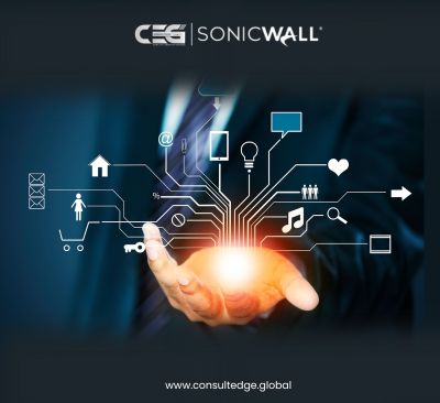 SonicWall consulting partner