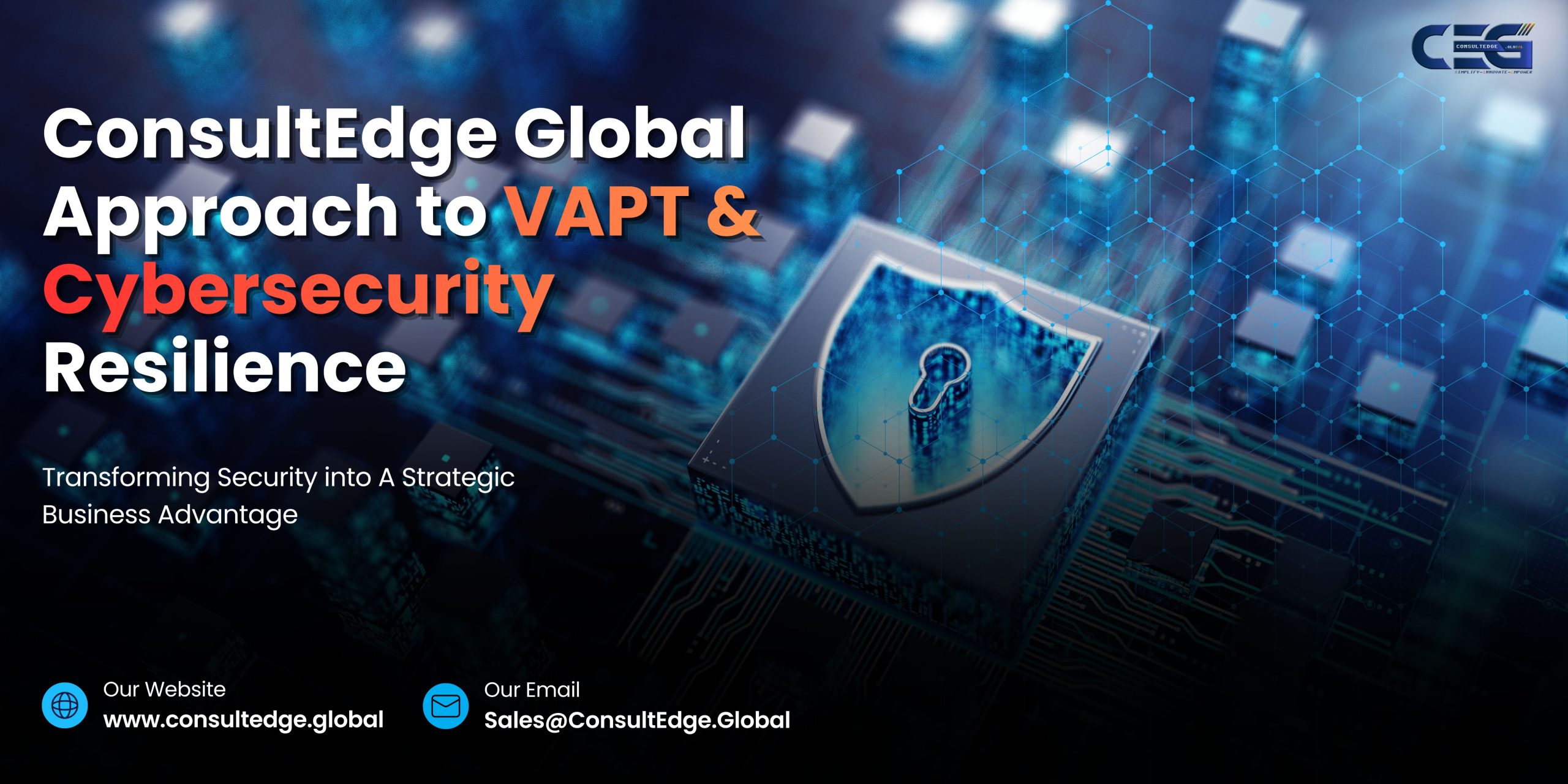 VAPT Cybersecurity