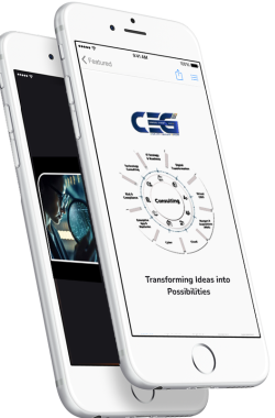 CEG about us